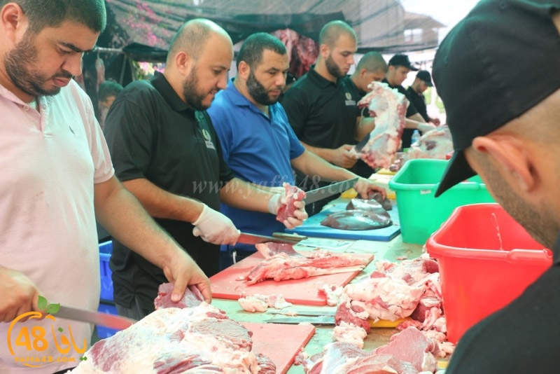 lod8om ada73y (114).JPG